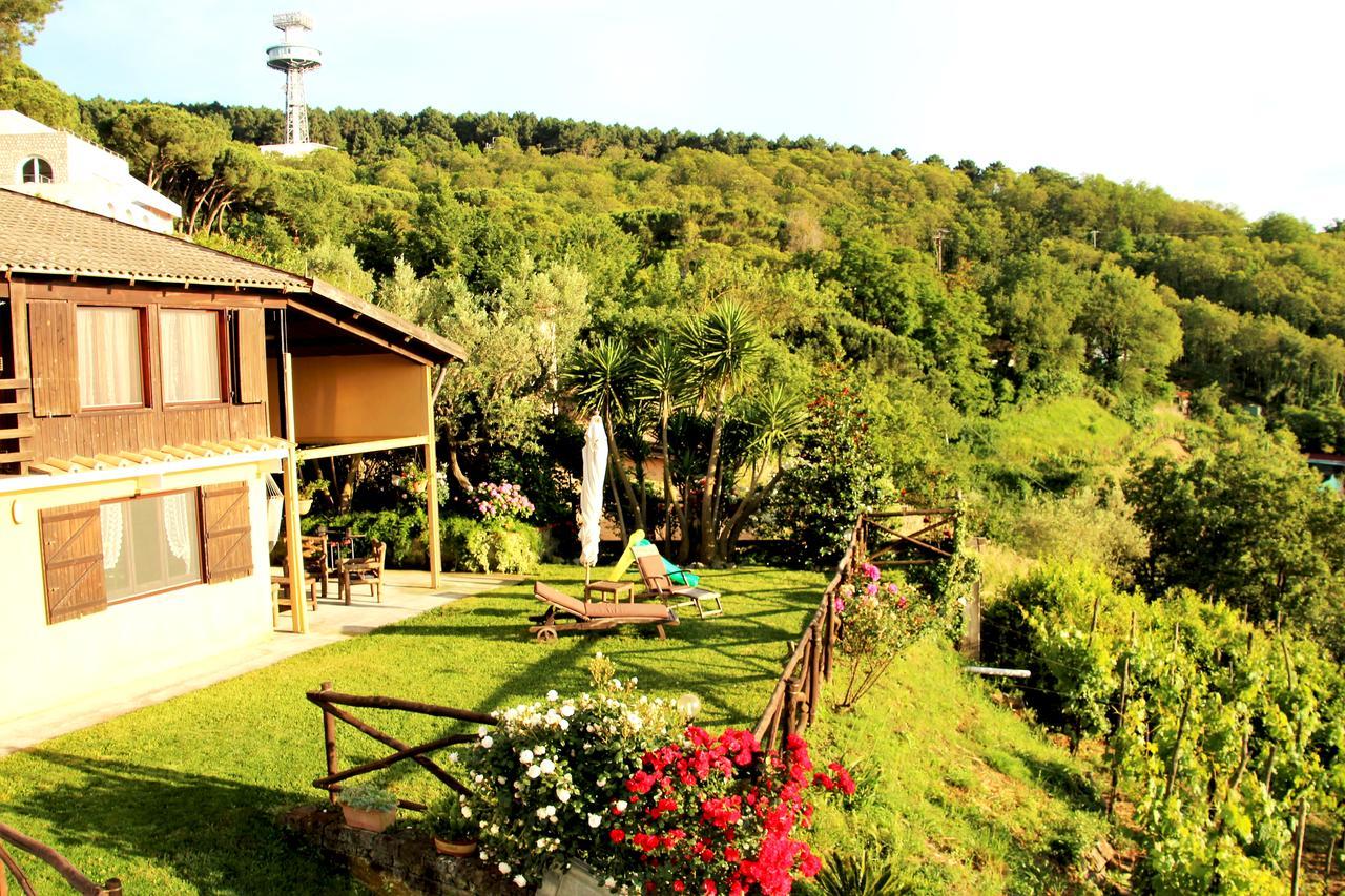 Chalet Annie Villa Sorrento Exterior photo